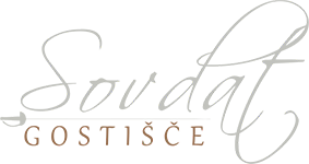 leichtes Logo